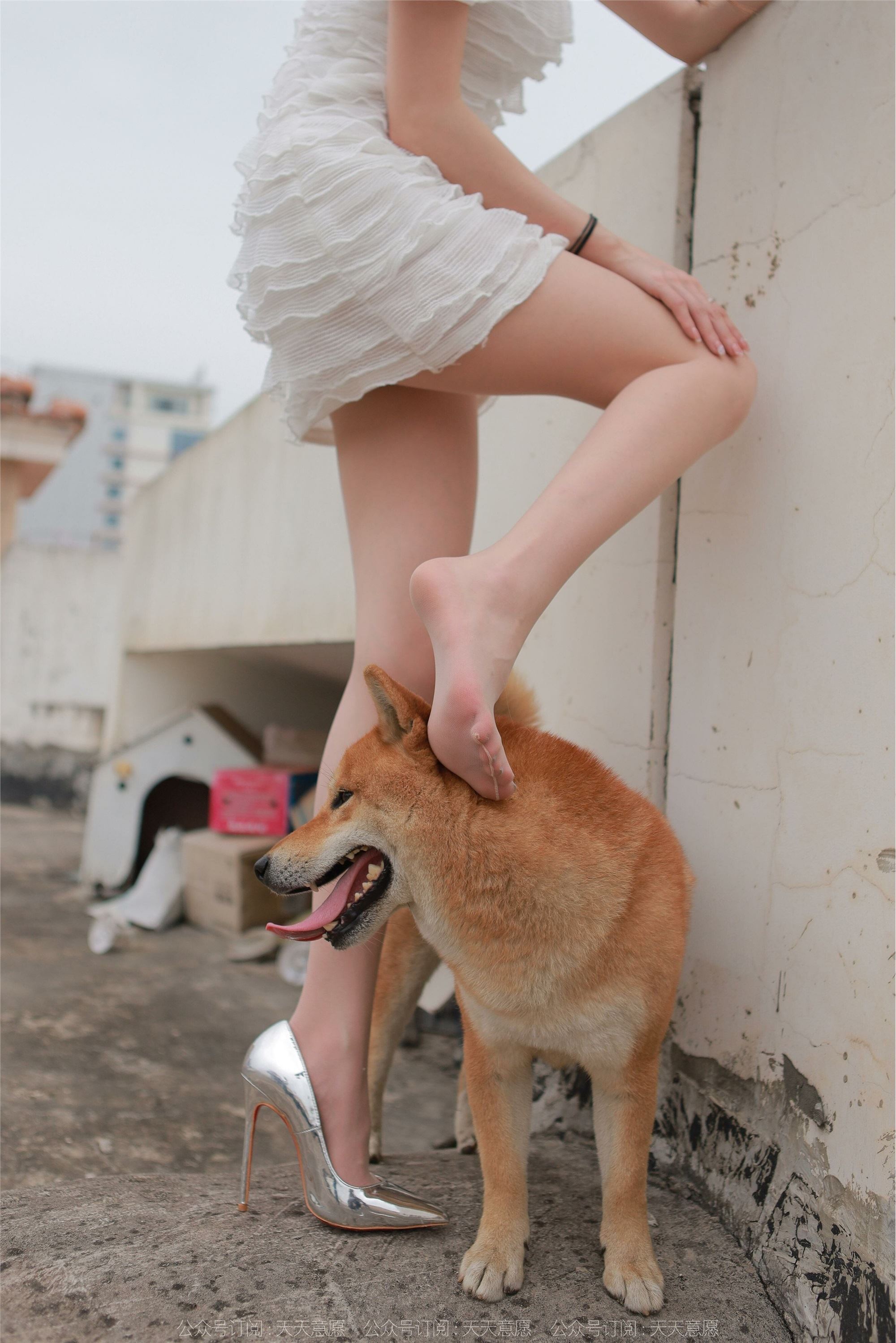 IESS异思趣向 2021.11.25 丝享家979：佳爷《12月女神佳爷-特辑》